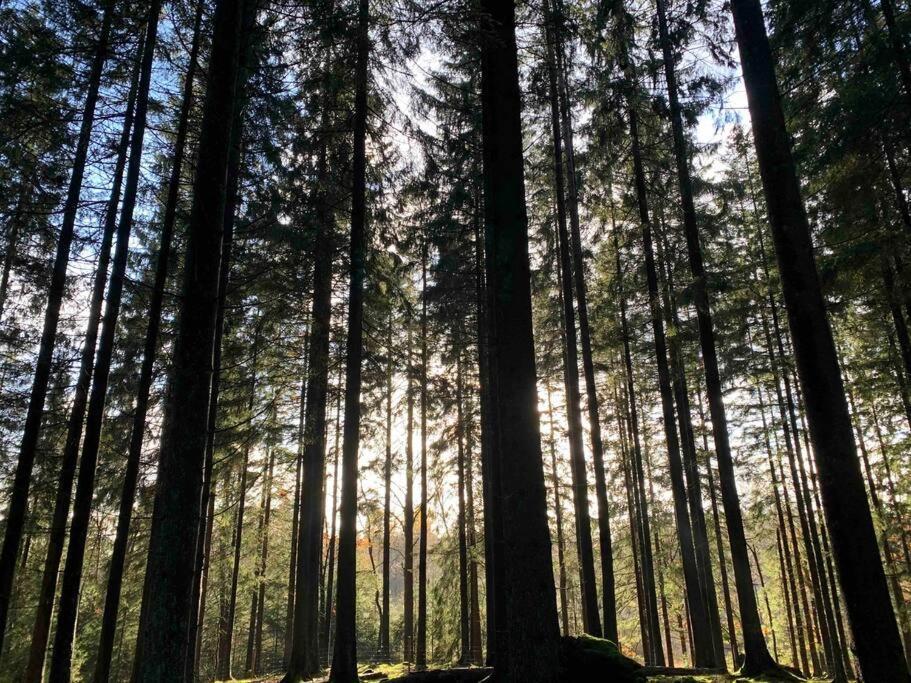 Panoramavy Naera Gbg Och Natur Olofstorp Exterior foto